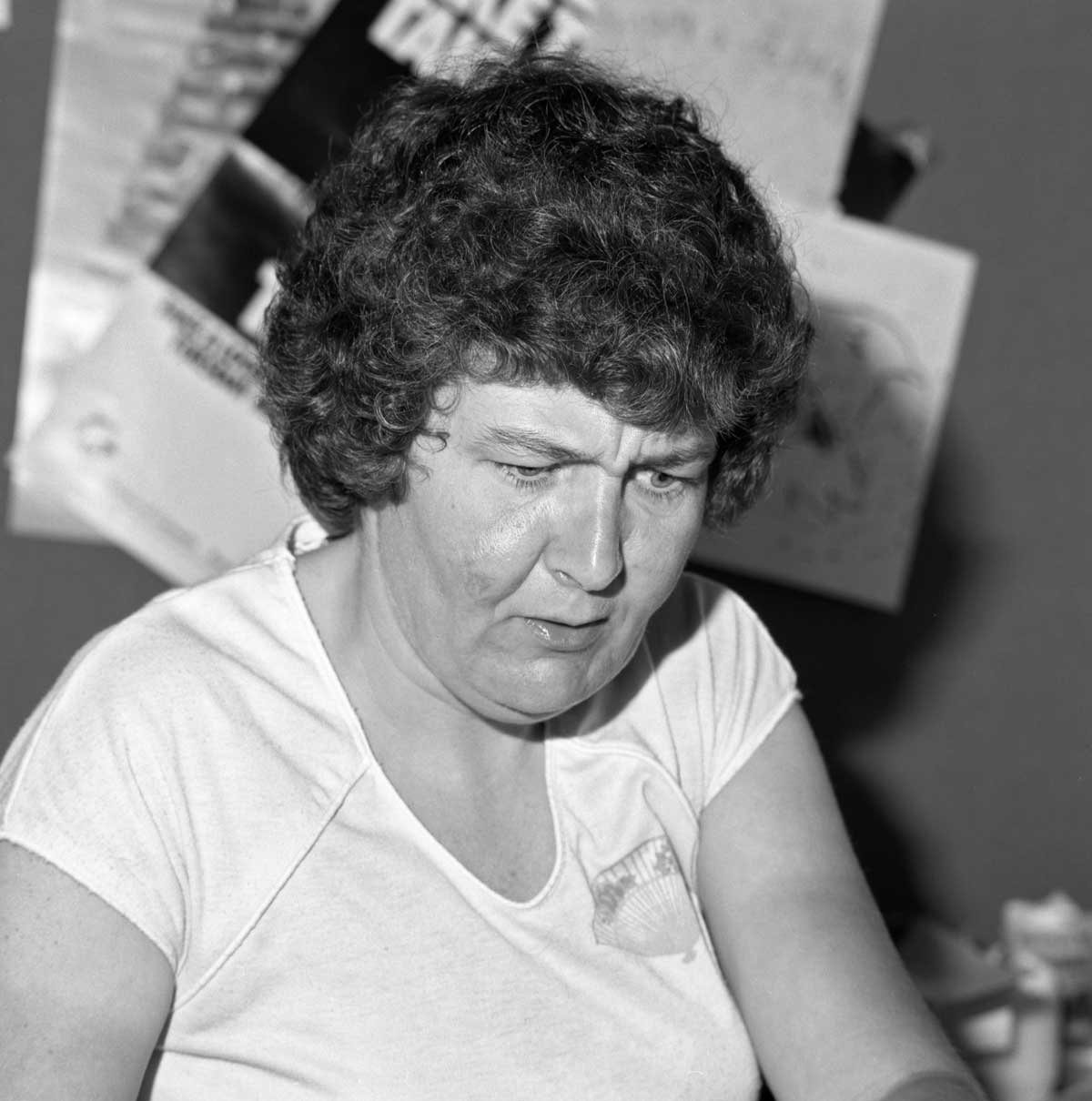 Thunder Bay 1980 Guide Printing